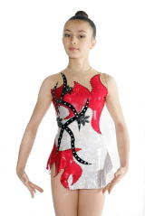 Rhythmic leotards for club competition and great shine.